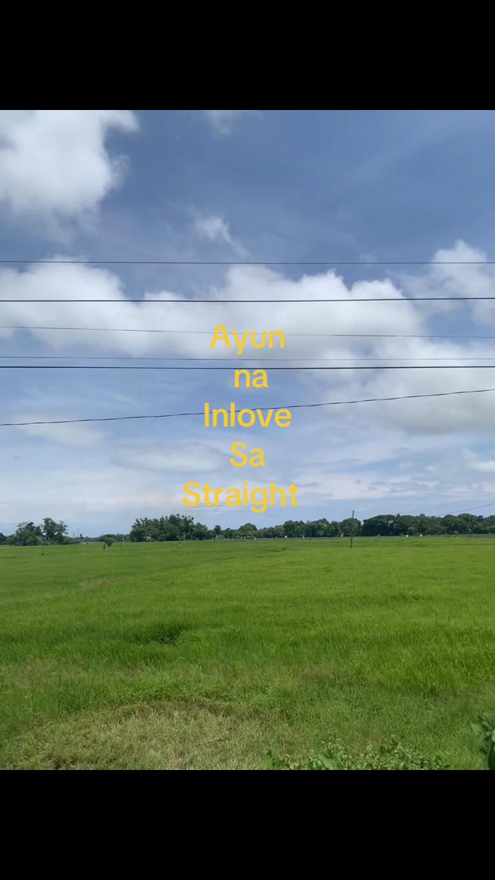 @Kabogera