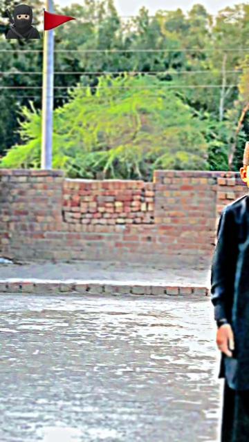 @Rana Siftay Hassan