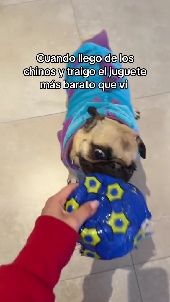 @Alexa&elcarnalchiss