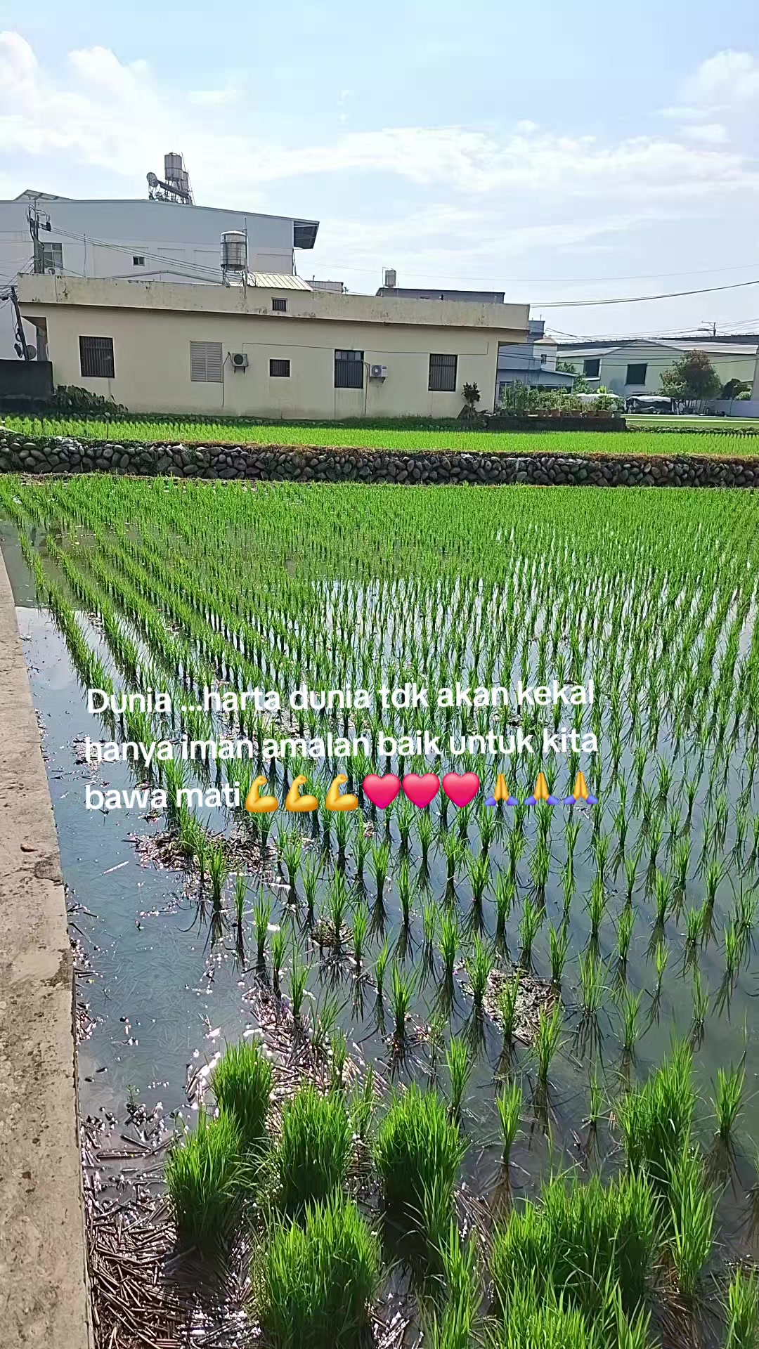 @sisri47