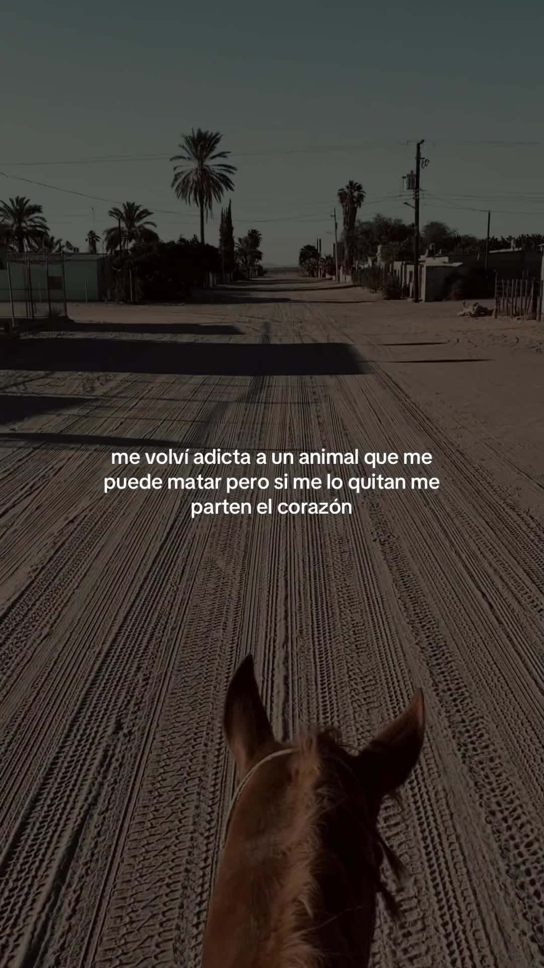 @fanny