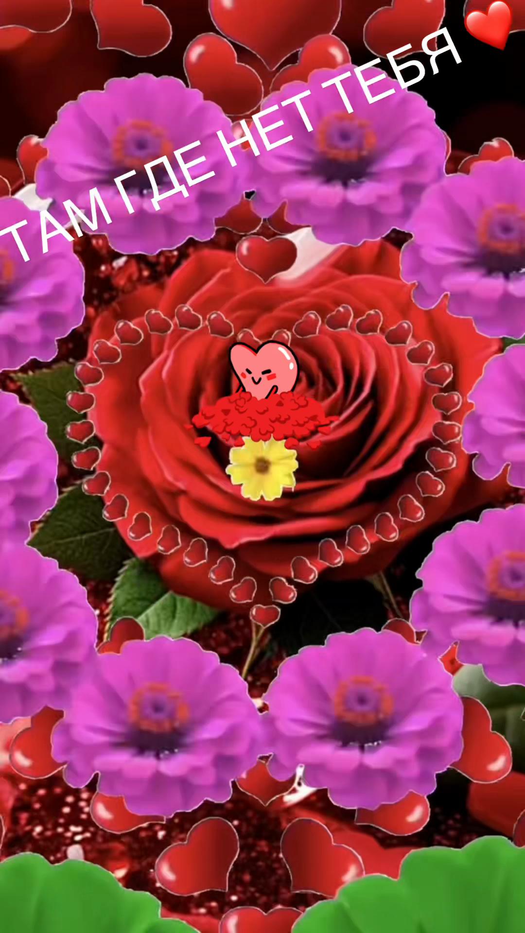 @zulfimysaivna