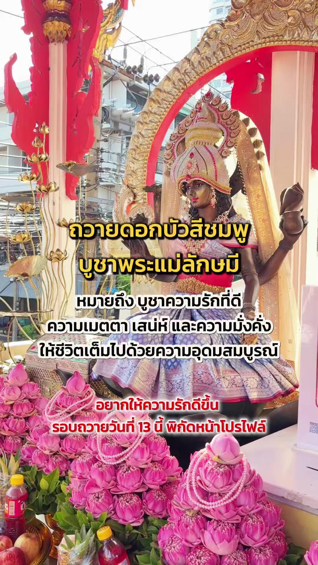 @มามู ออนไลน์ - ฝากไหว้ขอพร