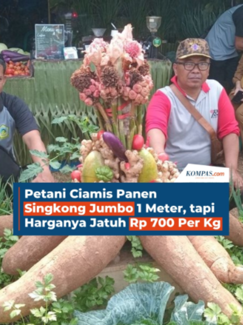 @Kompas.com