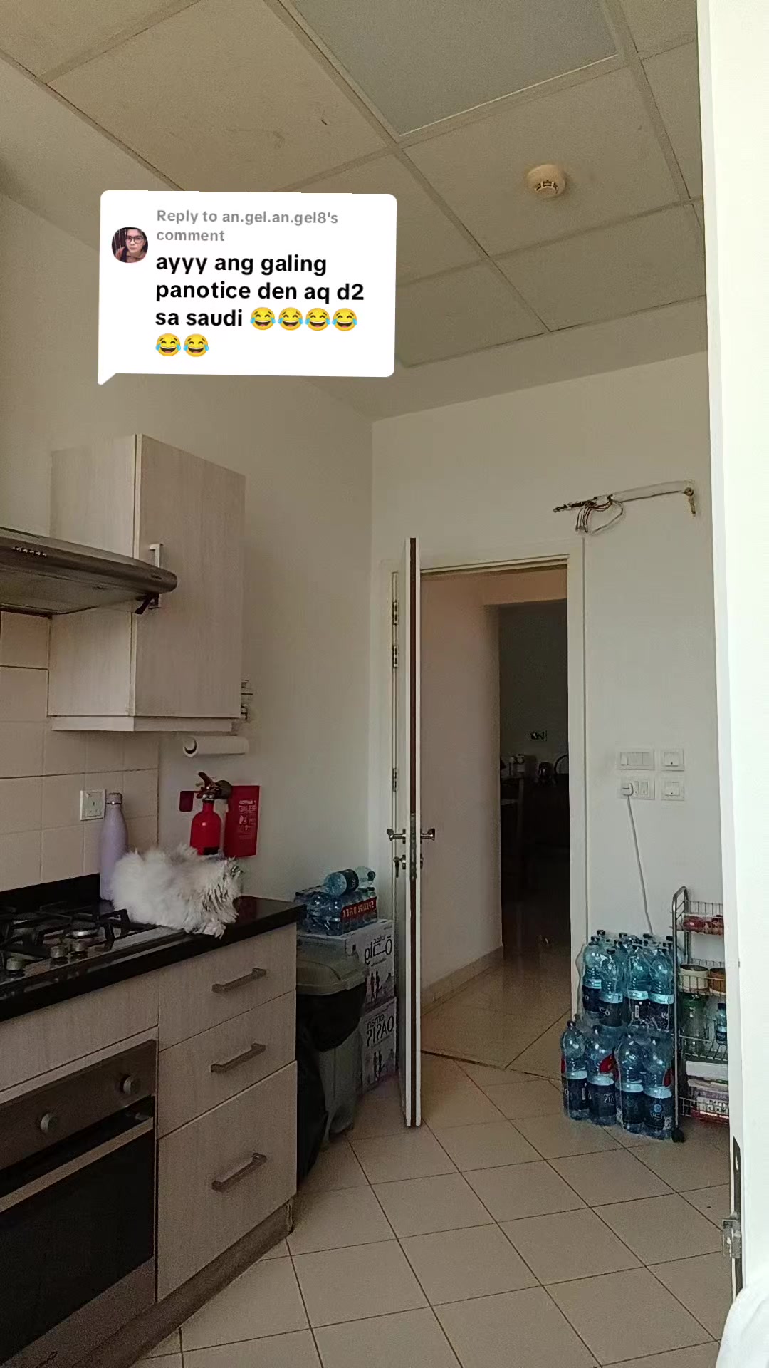 @Sinaing_Mo