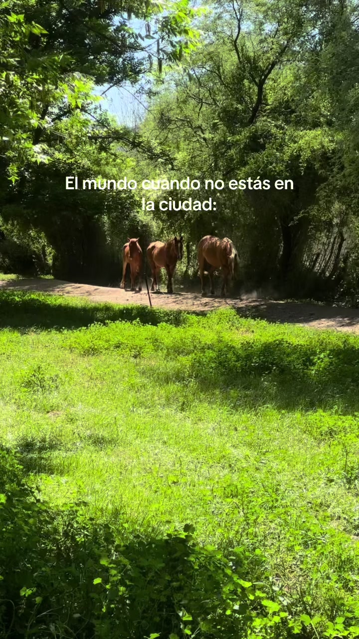 @josemvb70