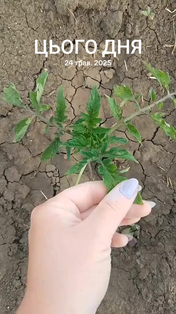 @Анюта