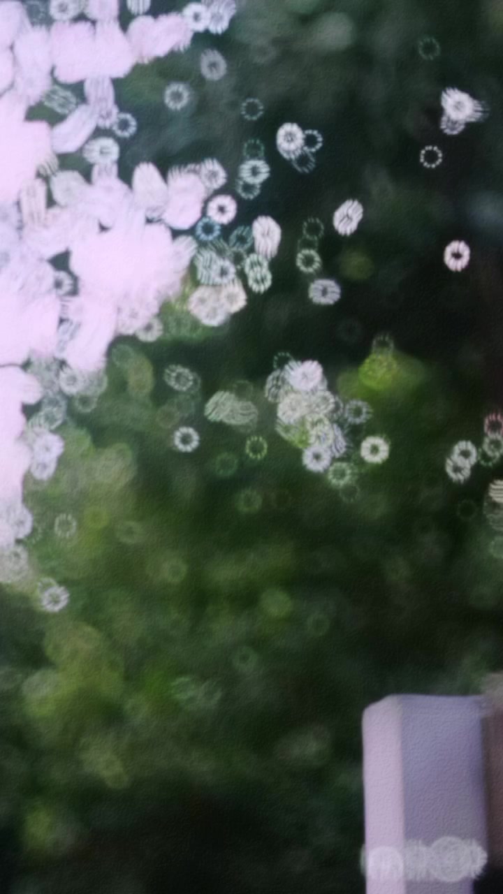 @ℍ𝕒𝕤𝕤𝕒𝕟 𝔸𝕝𝕚