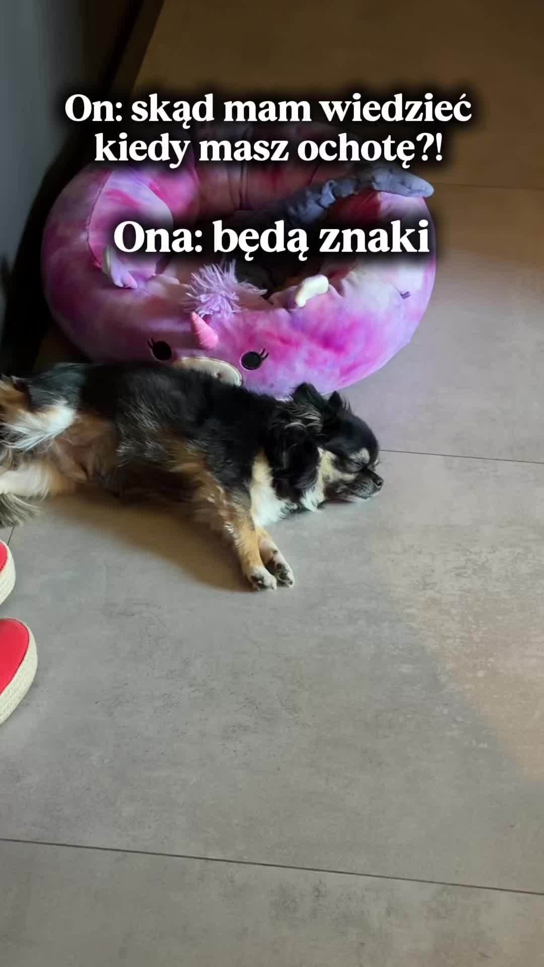 @majakumorseksuolog