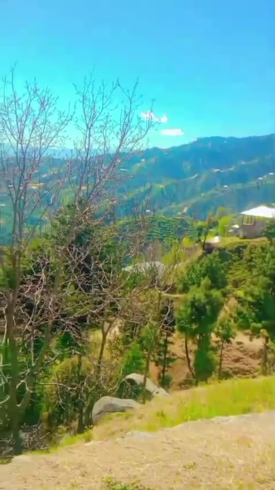 @Akramofficial