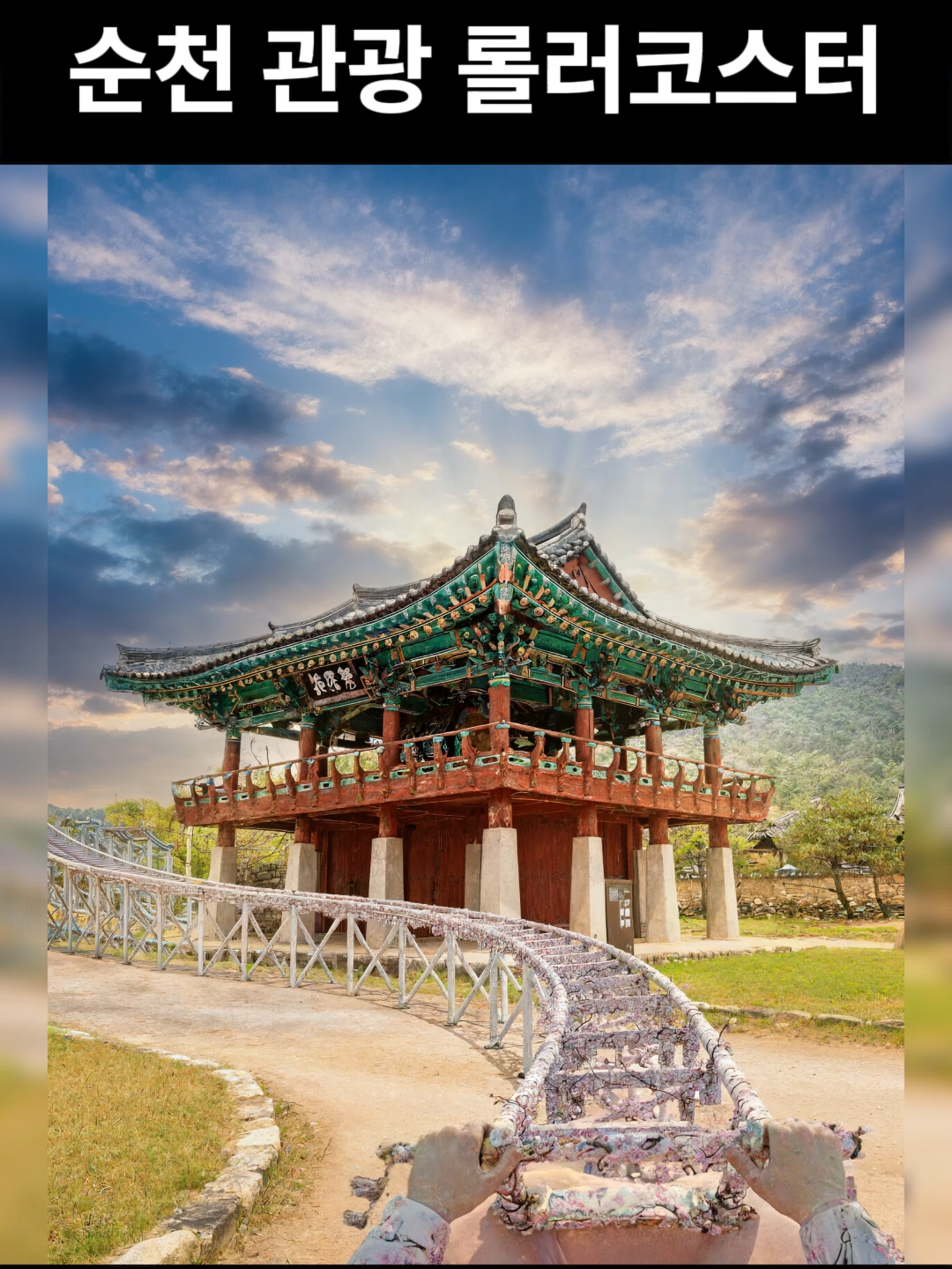 @롤코여행