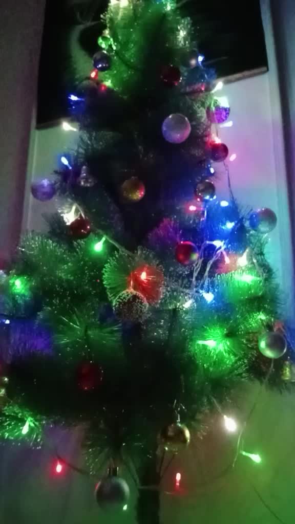 @Svetkin2507