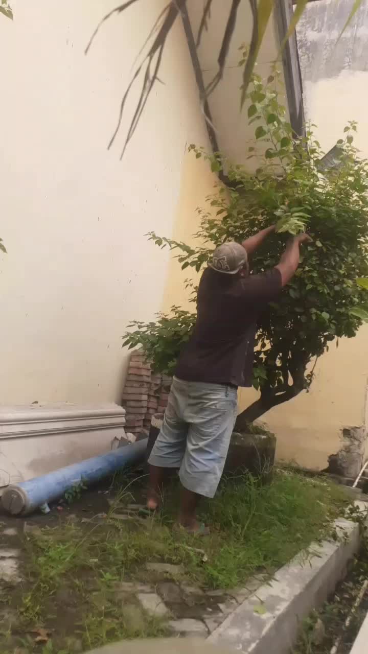 @gardenbron86