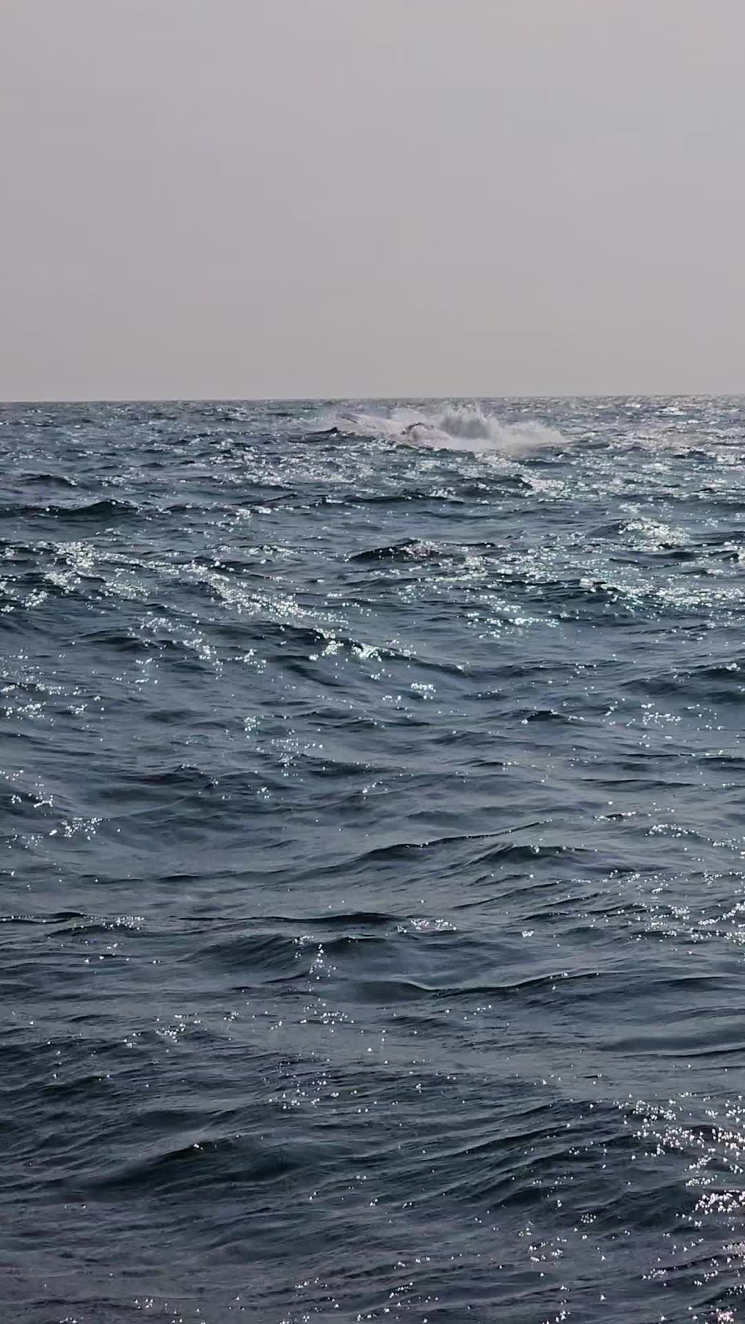 @Chasse Sous-Marine Bénin
