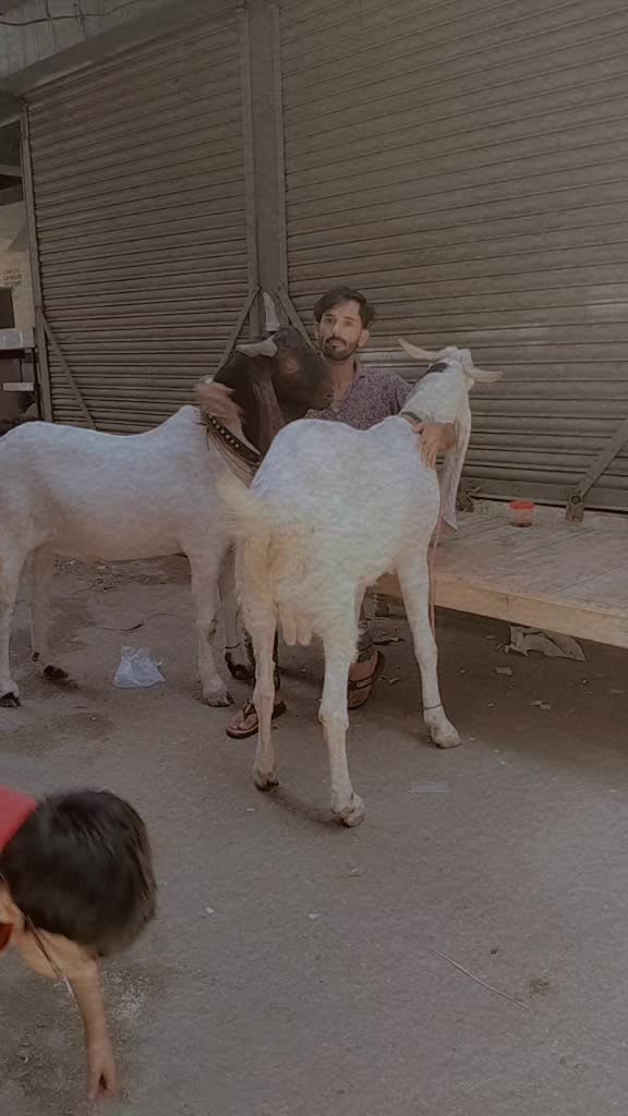 @faizan khan yousfzai