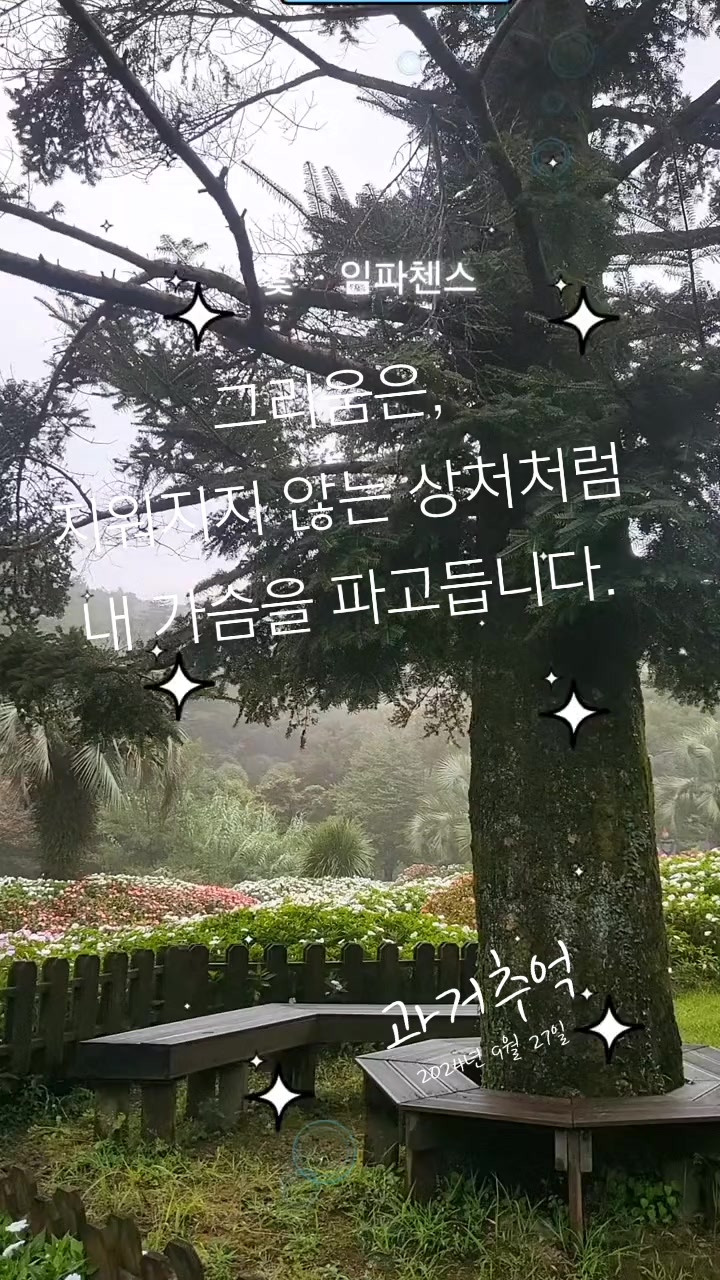 @앤