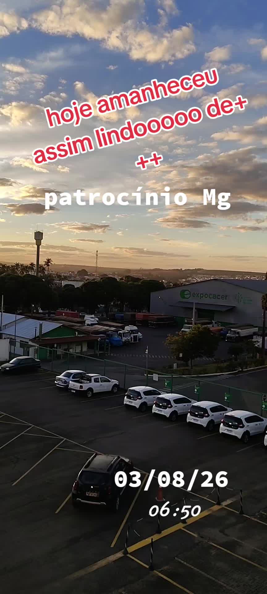@aparecidamachado303