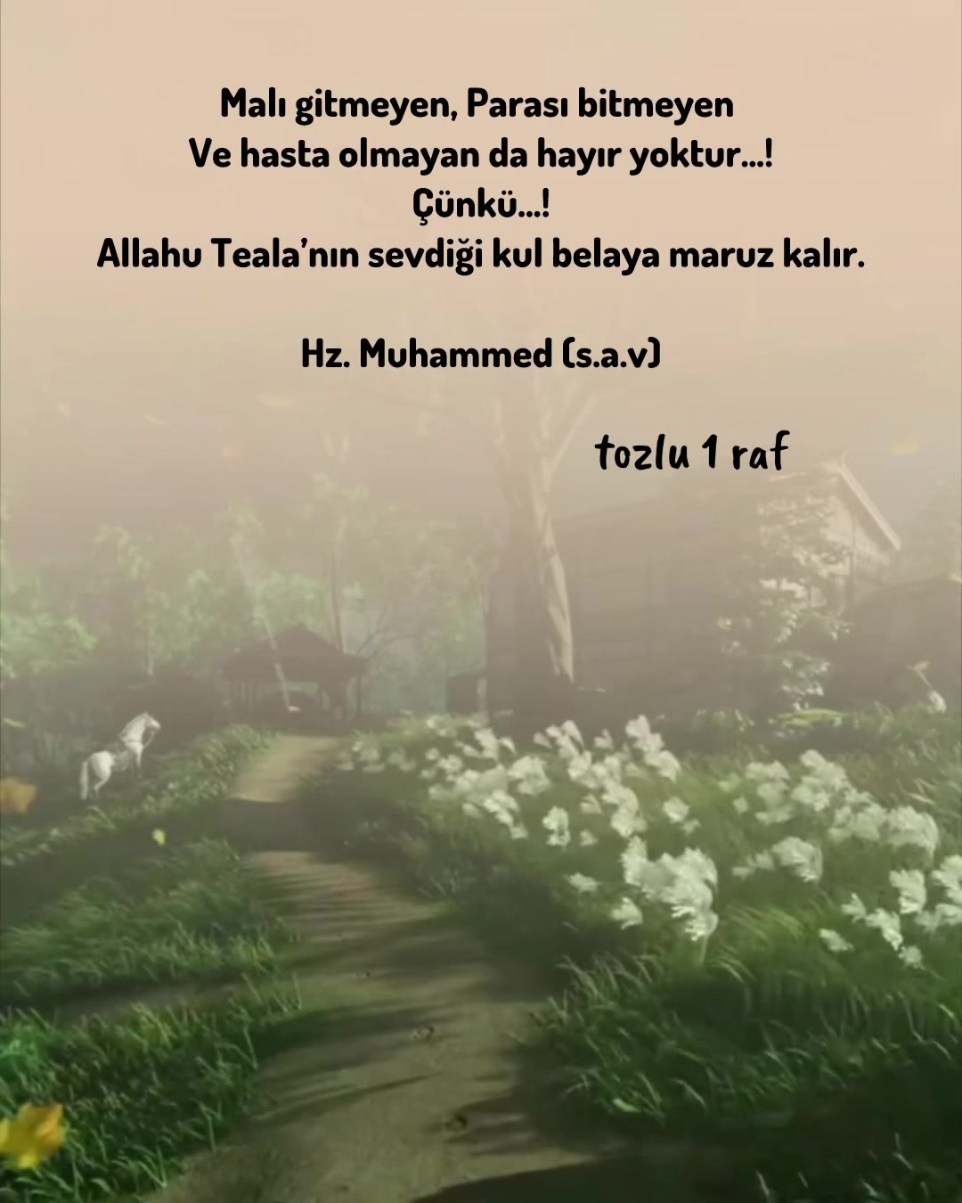 @tozlu1raf_