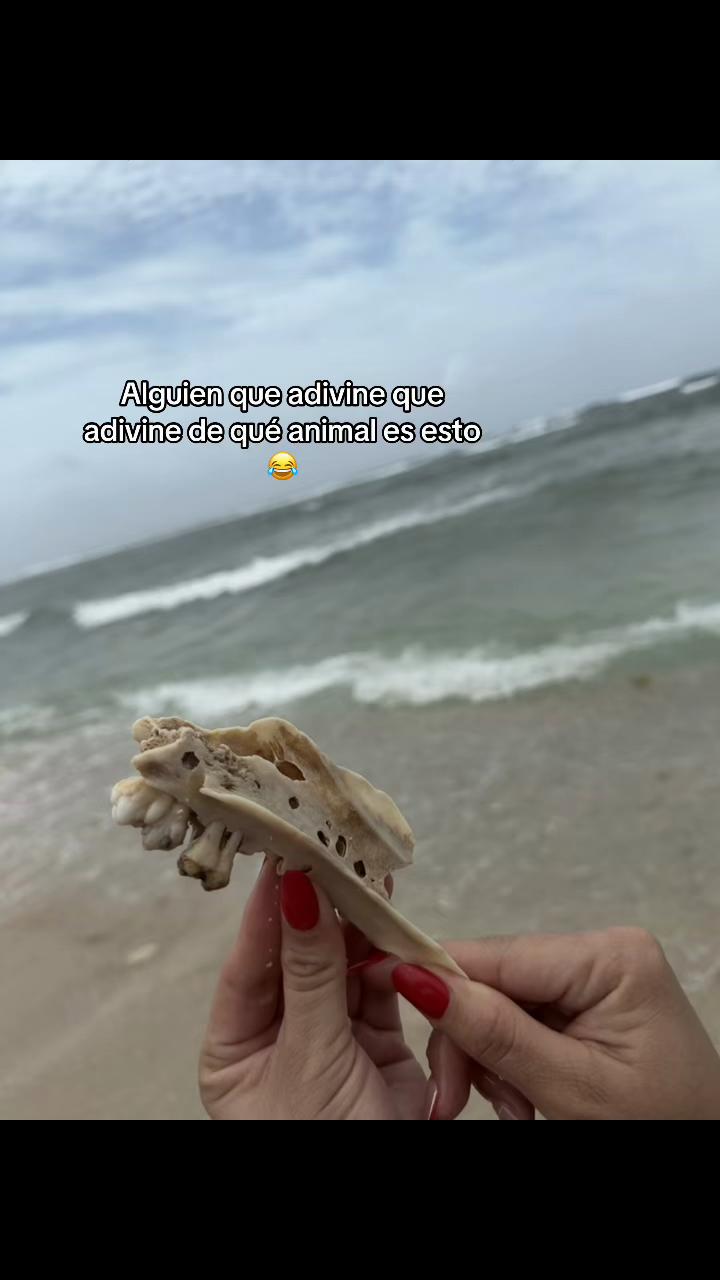 @jenngiraldogallego