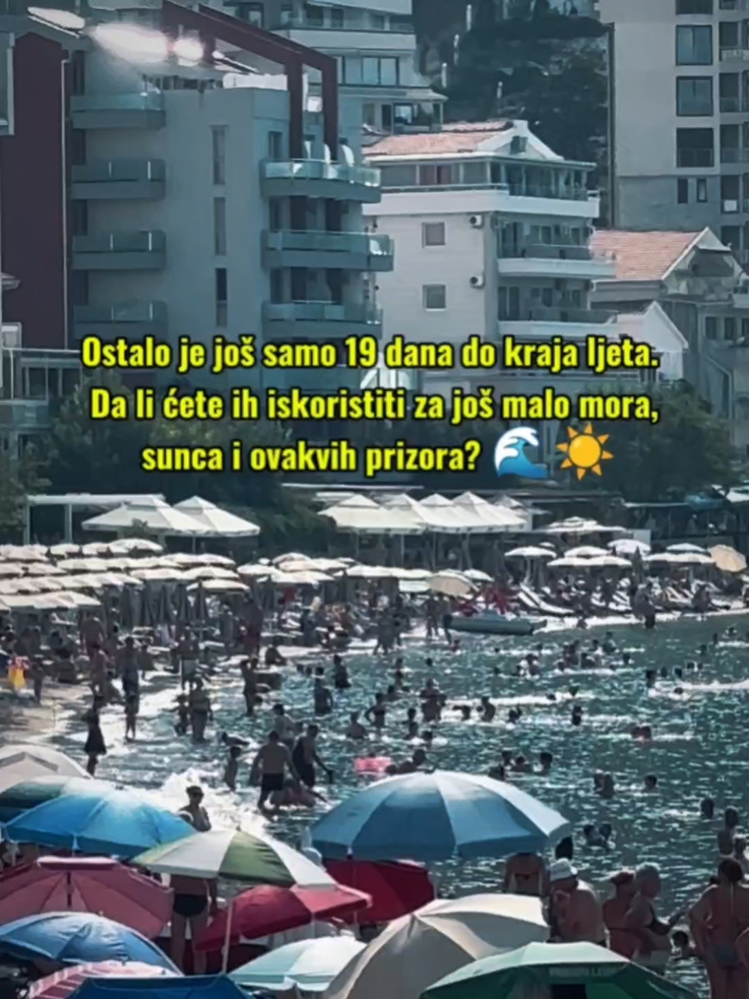 @Aleksandar