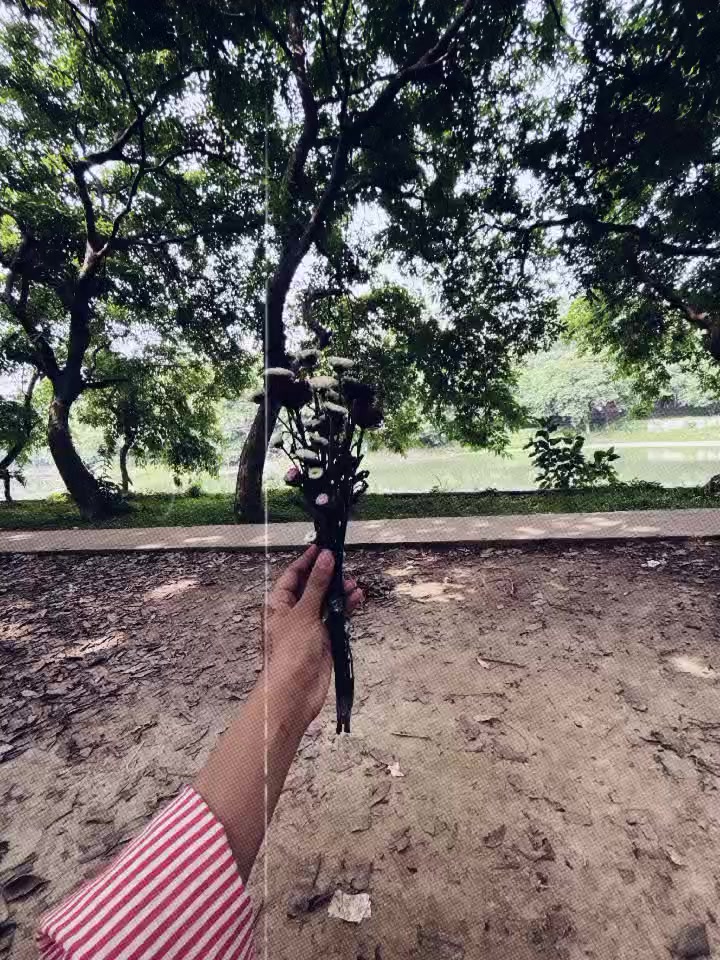 @momosss🌿