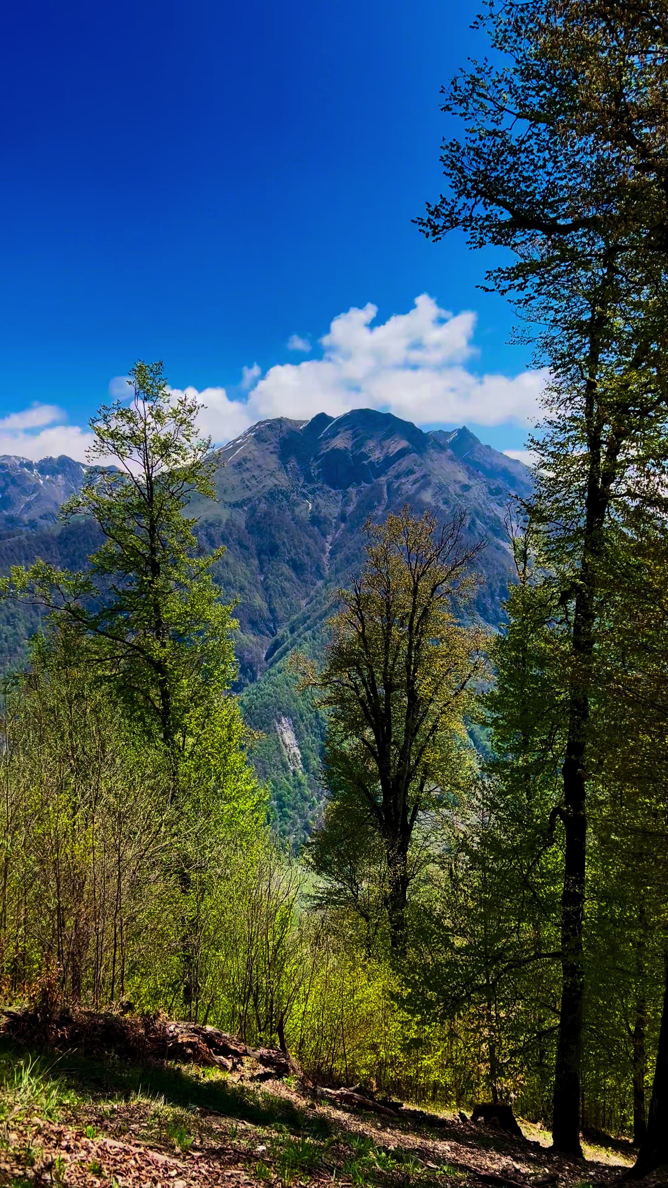 @𝑨𝒅𝒊𝒍𝒐𝒗🌿
