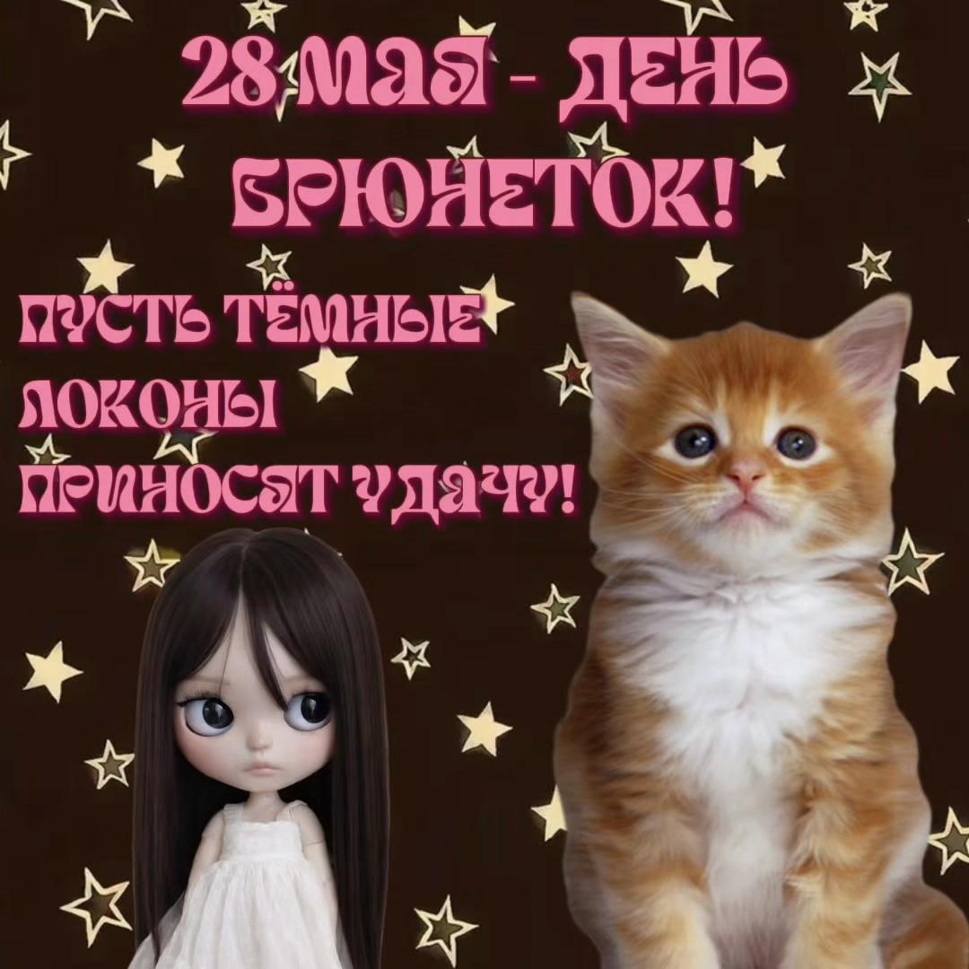 @котики на каждый день