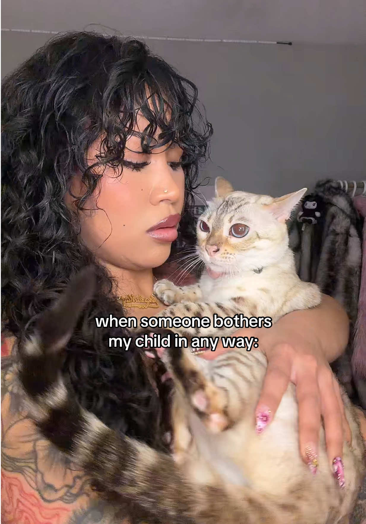 @Mirajane The Bengal🐾