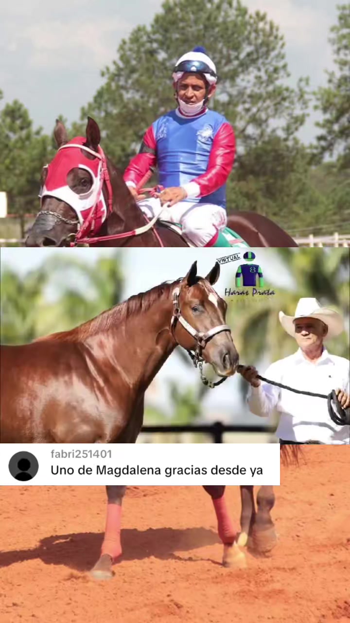@WIL.🐎