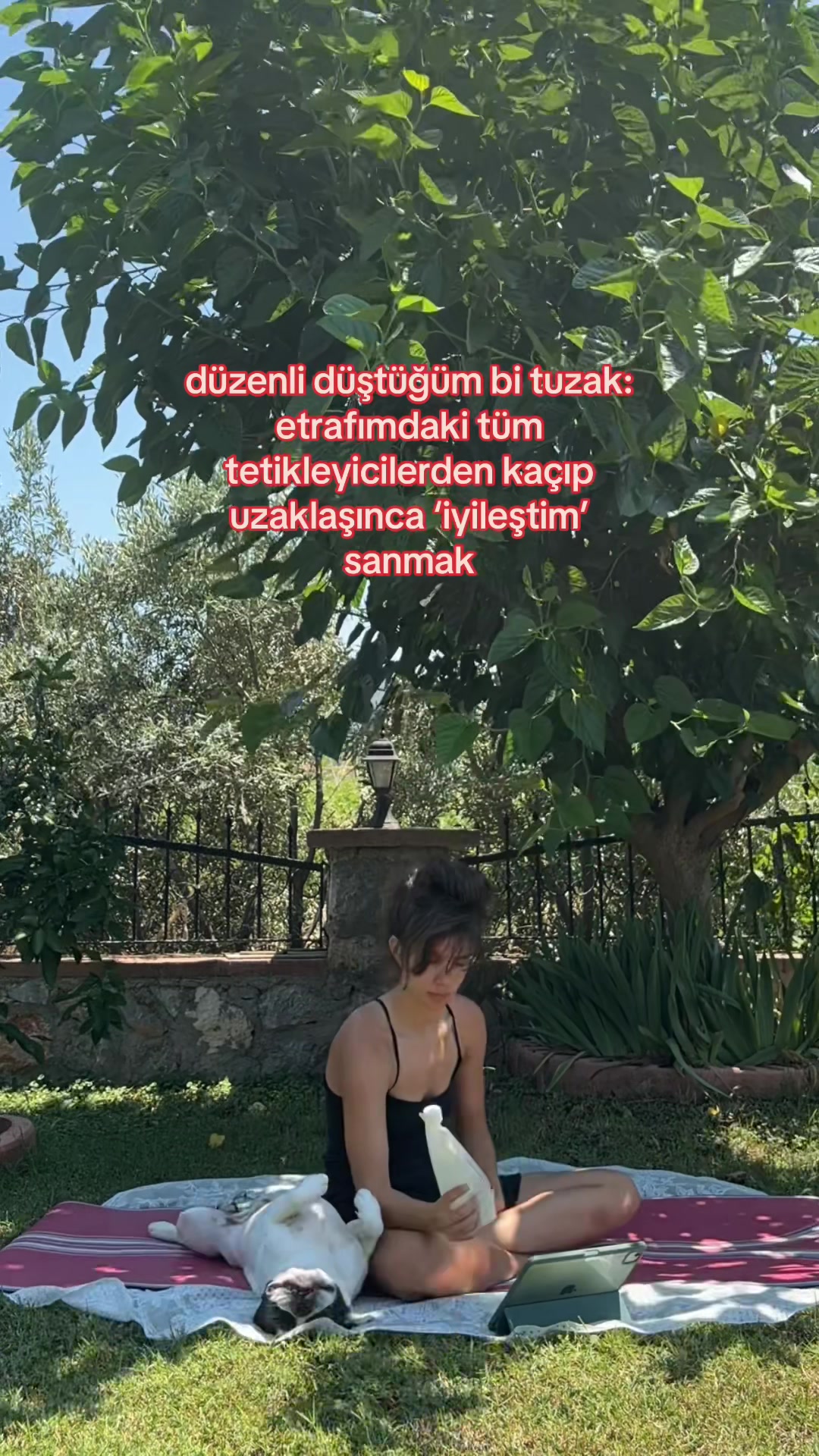 @bambinoirl