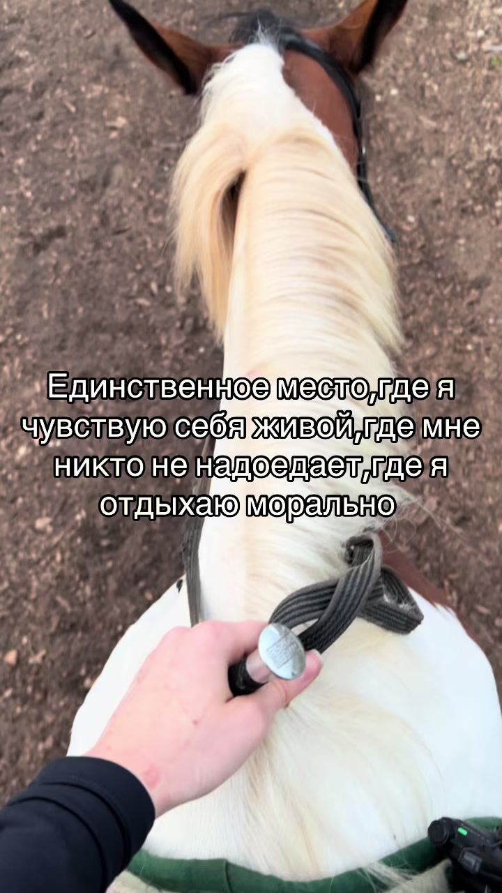 @Ли🐴