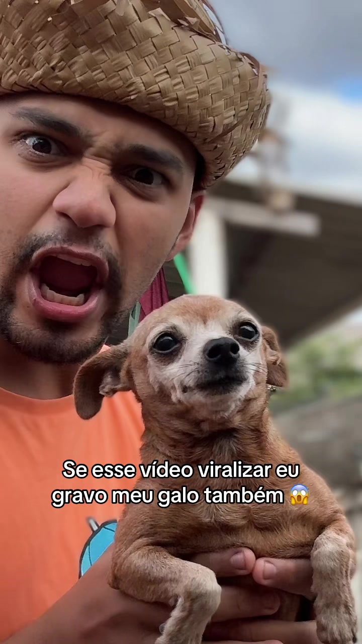 @KENTEM_RIBEIRO💊💫⚡️