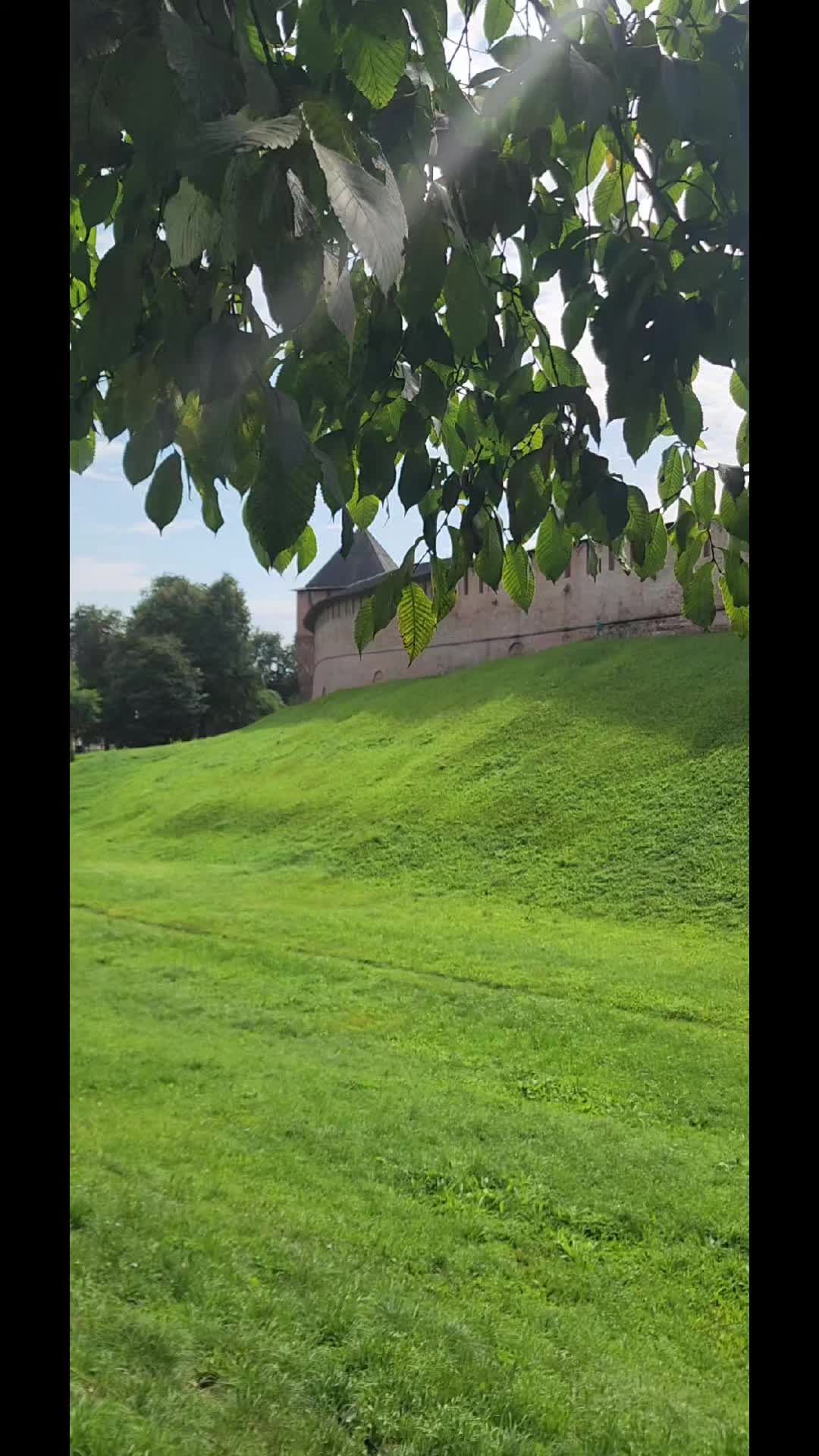 @Нелли