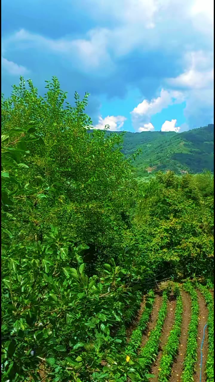 @Yığılca lı memedim.