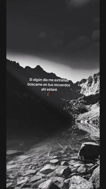@🩷 Alessi&aacute;🐻&zwj;❄️🎀