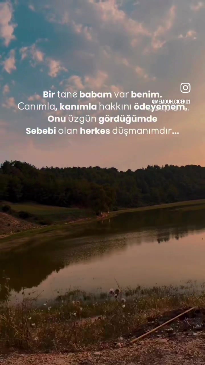 @seherbolkan7