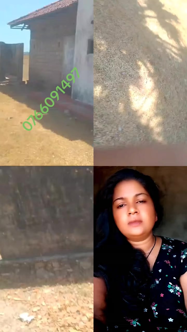 @Vino.Gaayathiri