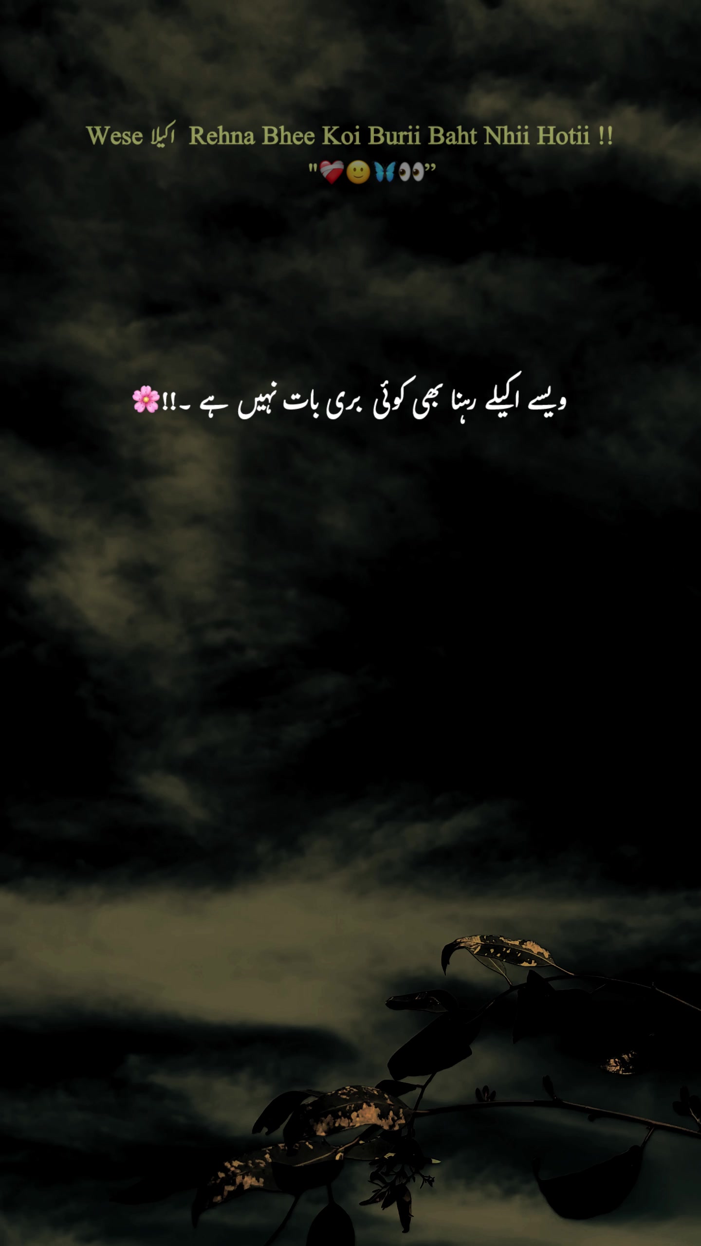 @-🕊️