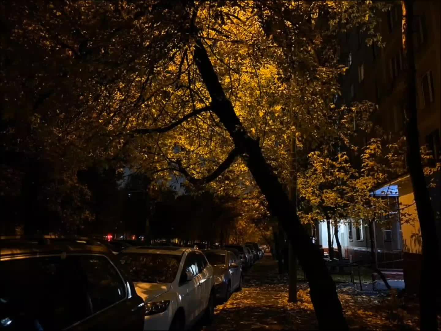 @𝐓𝐑𝐈𝐁𝐋𝐄𝐗