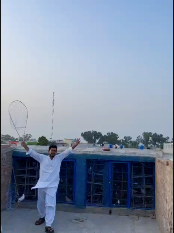 @Rashid Tabsam 🌷