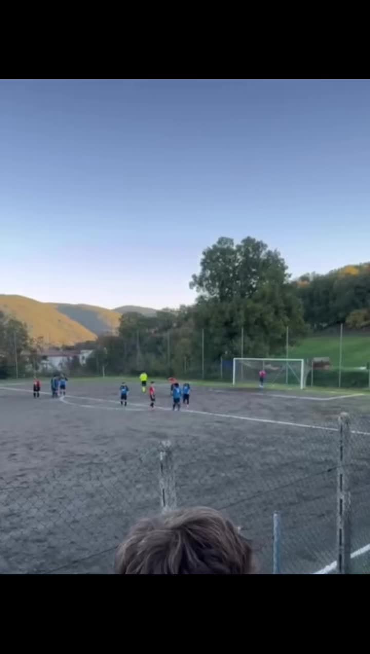 @denisceccarelli_