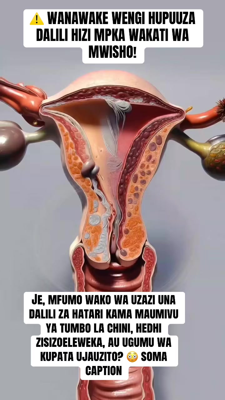 @Madam Zellah