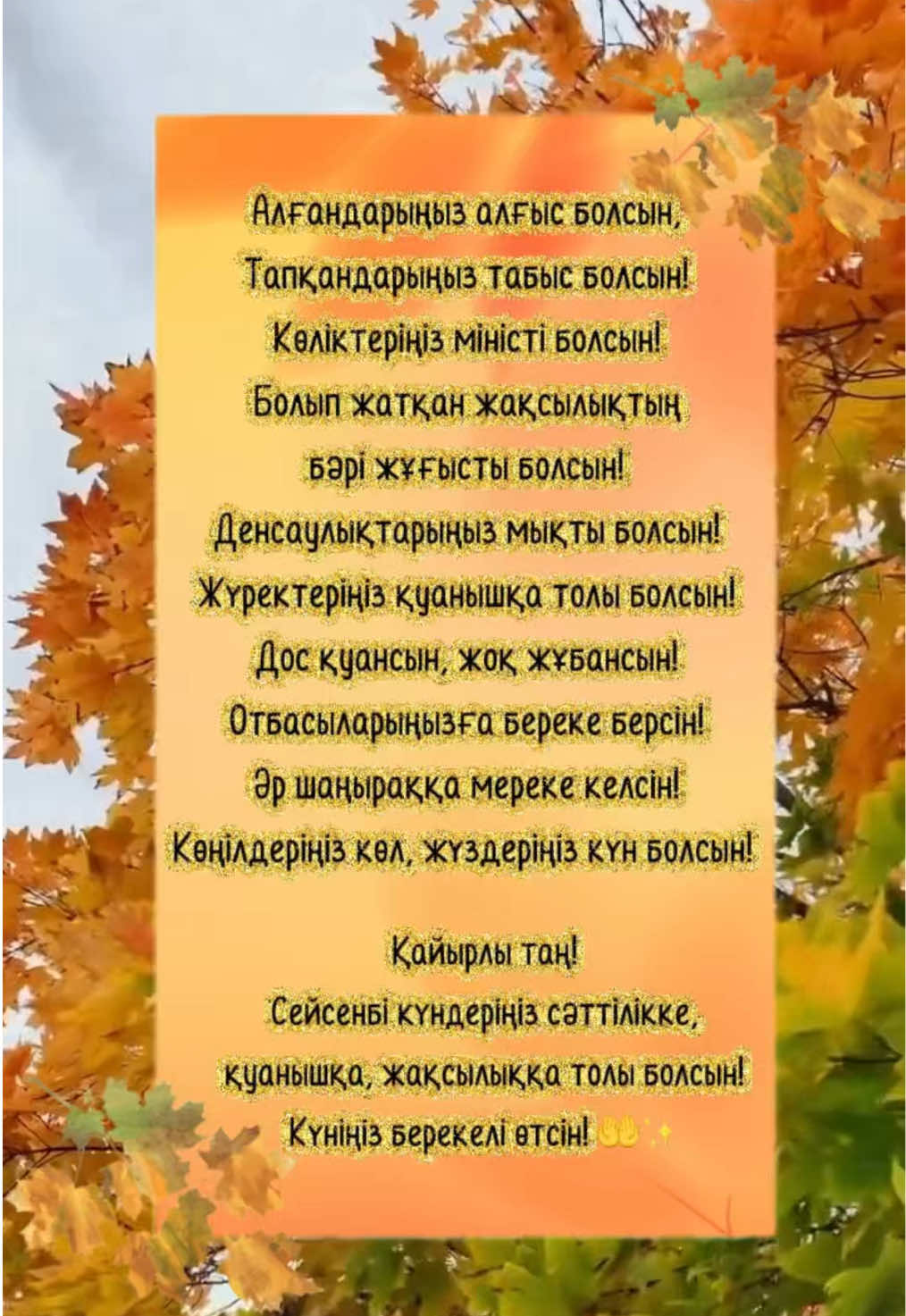 @aray_dinasil