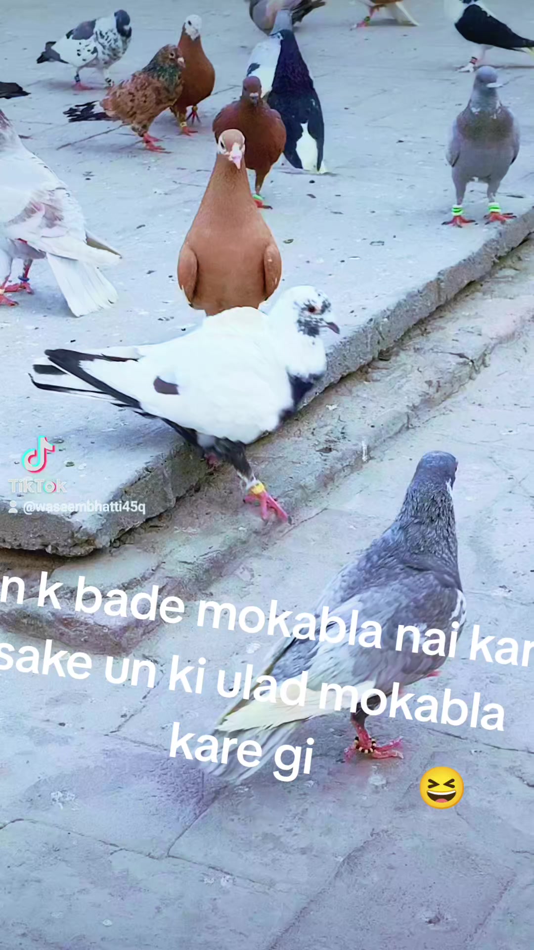@Waseem Bhatti