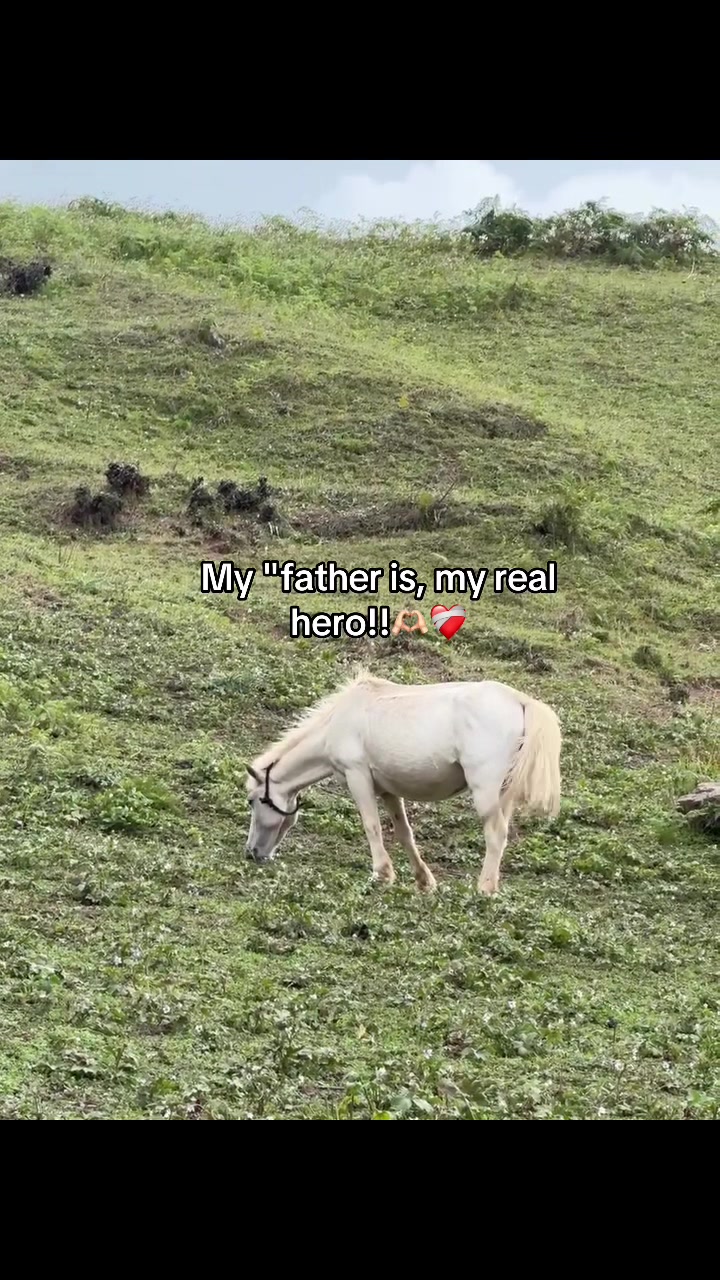 @SAMRATBELBASE