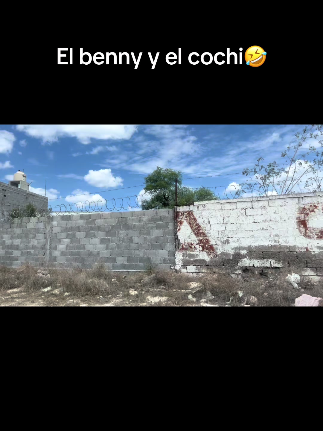 @Grettel Rdz✨🌻