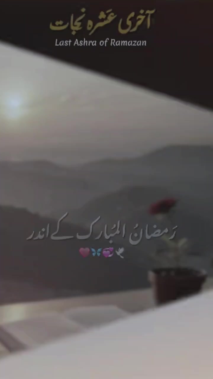 @Muzamil Sheikh143