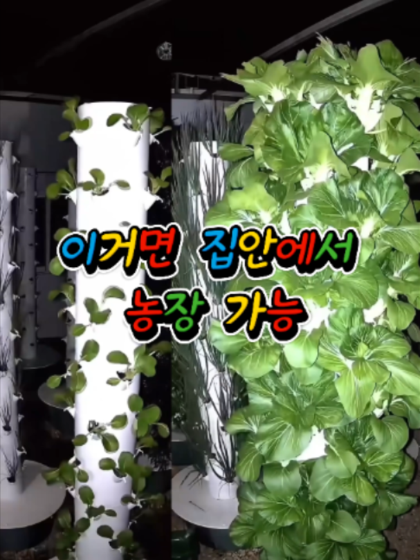 @부러쇼핑