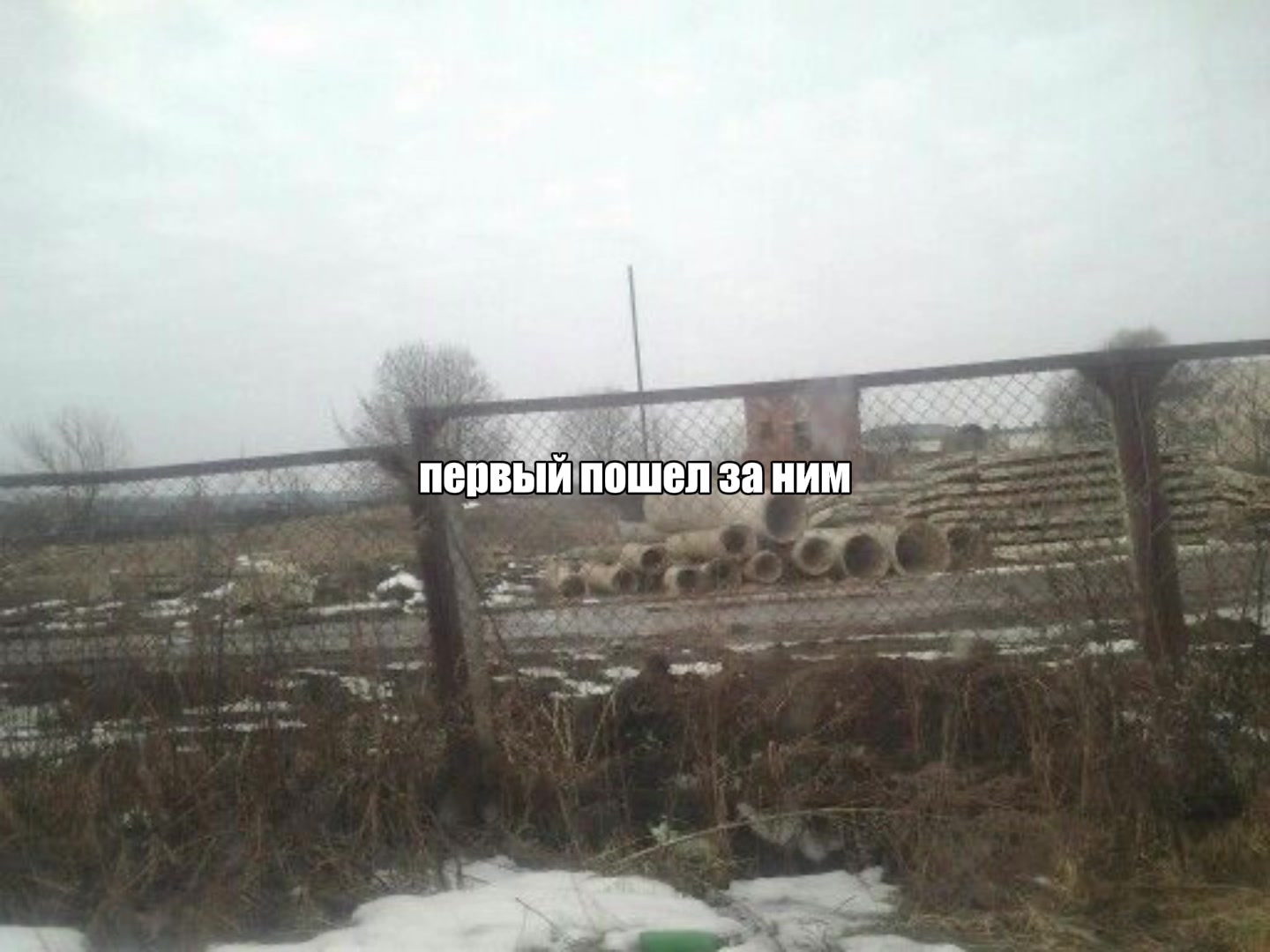 @оляска