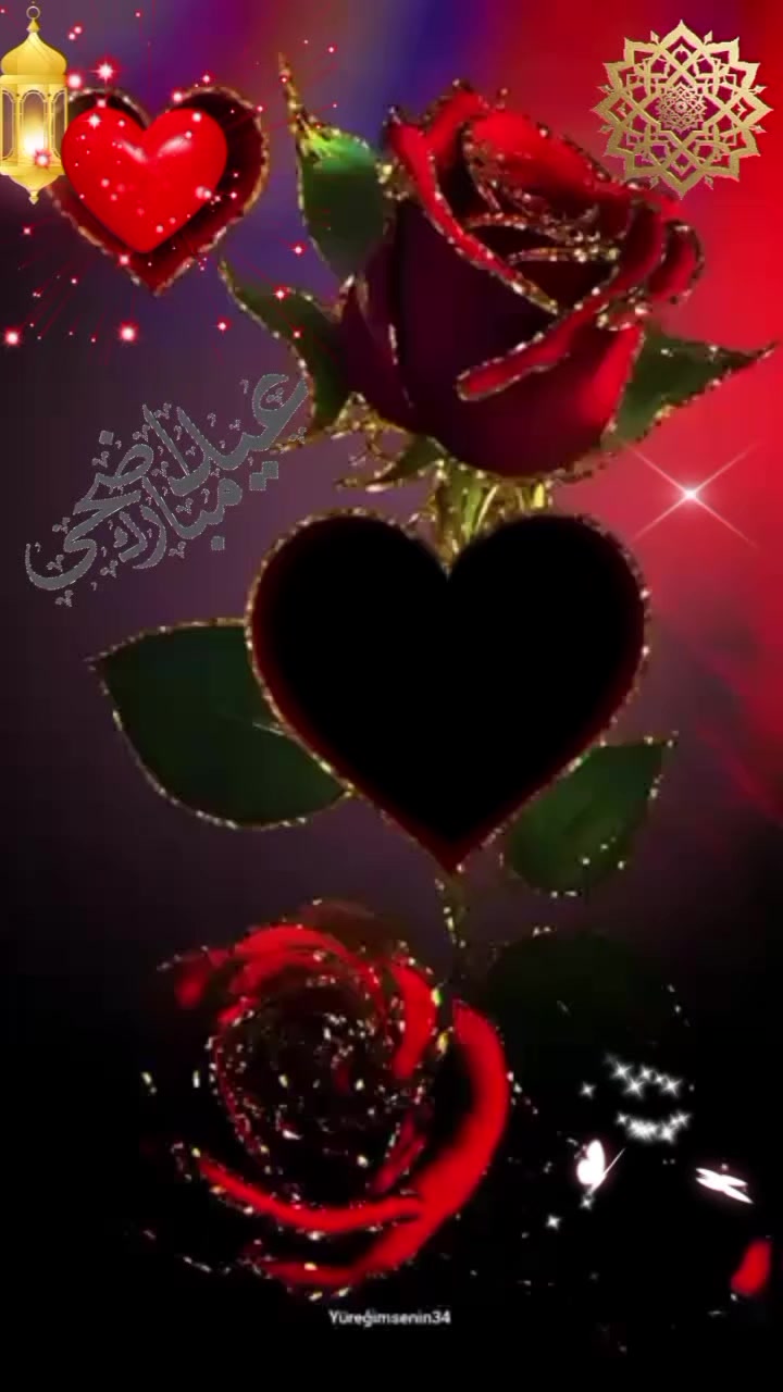 @๐ZOHA๐